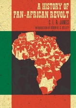 Small a history of pan african revolt 400x618