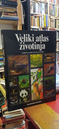 Large img 20250707 130150