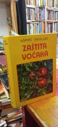 Large img 20250707 181456