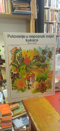 Large img 20250819 134742