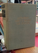 Small img 20250917 123953