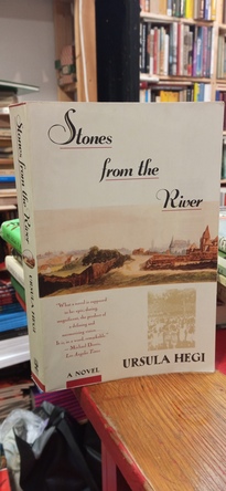 Large img 20250925 183218