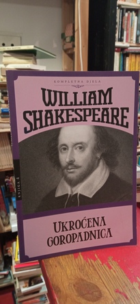 Large img 20250929 155715