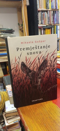 Large img 20251105 154542