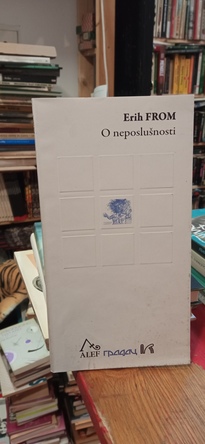 Large img 20251107 181918