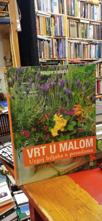 Large img 20251113 142741