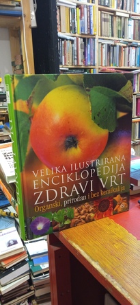 Large img 20251113 142526