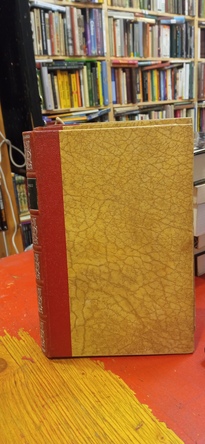 Large img 20251117 190845