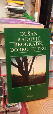 Large img 20251121 142240