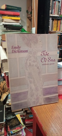 Large img 20251121 142227