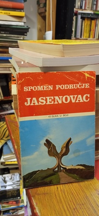 Large img 20251124 130153