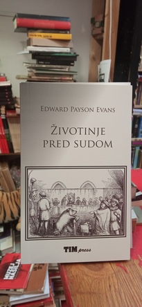 Large img 20251128 141009