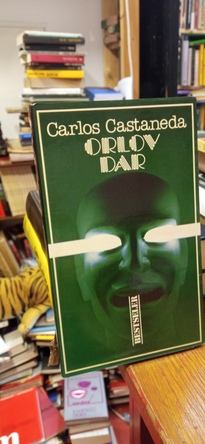 Large img 20251212 183459