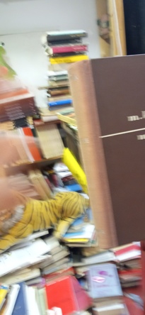 Large img 20251212 183434