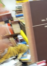 Small img 20251212 183434