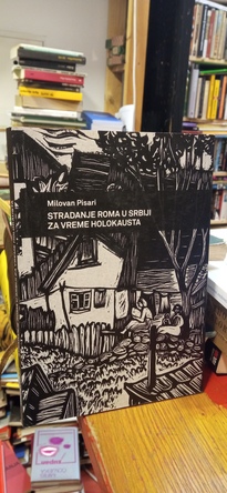 Large img 20251212 175237