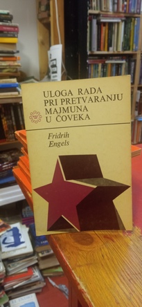 Large img 20260115 183555