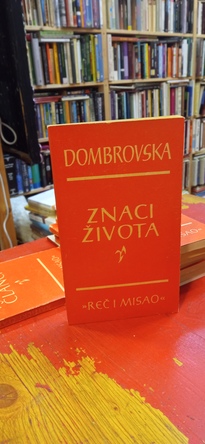 Large img 20260119 172554