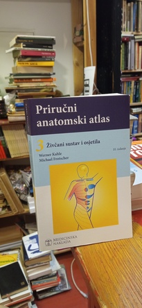 Large img 20260121 165252