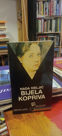 Large img 20260218 132349