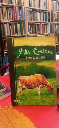 Large img 20260220 131128