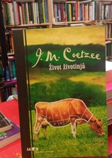 Small img 20260220 131128