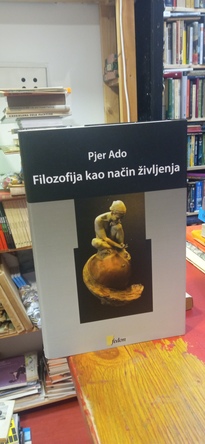 Large img 20260220 153044