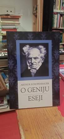 Large img 20260227 143300