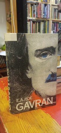 Large img 20260227 163129