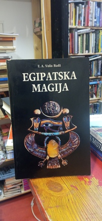 Large img 20260302 153908