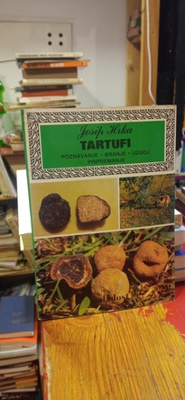 Large img 20260316 183943