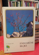 Small img 20260318 154432