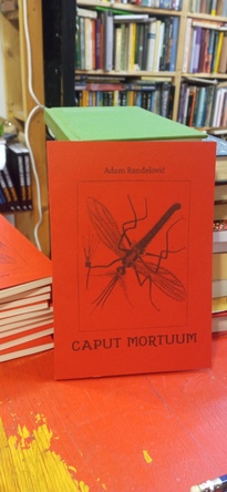 Large img 20260326 131102