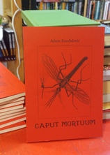 Small img 20260326 131102