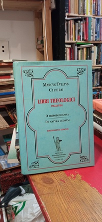 Large img 20260326 170432