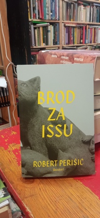 Large img 20260331 165729