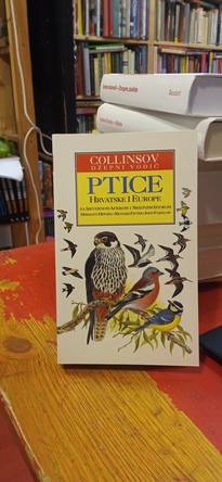 Large img 20260402 124855