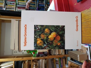 Large img 20260409 143032133