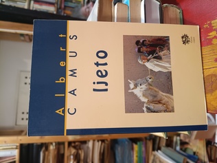 Large img 20260421 164206725