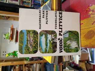 Large img 20260512 164053807