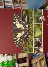 Small img 20260528 182626590