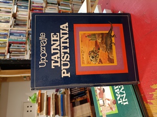 Large img 20260601 181328358