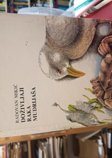 Small img 20260901 133637615