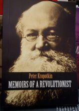 Small memoirs of a revolutionist